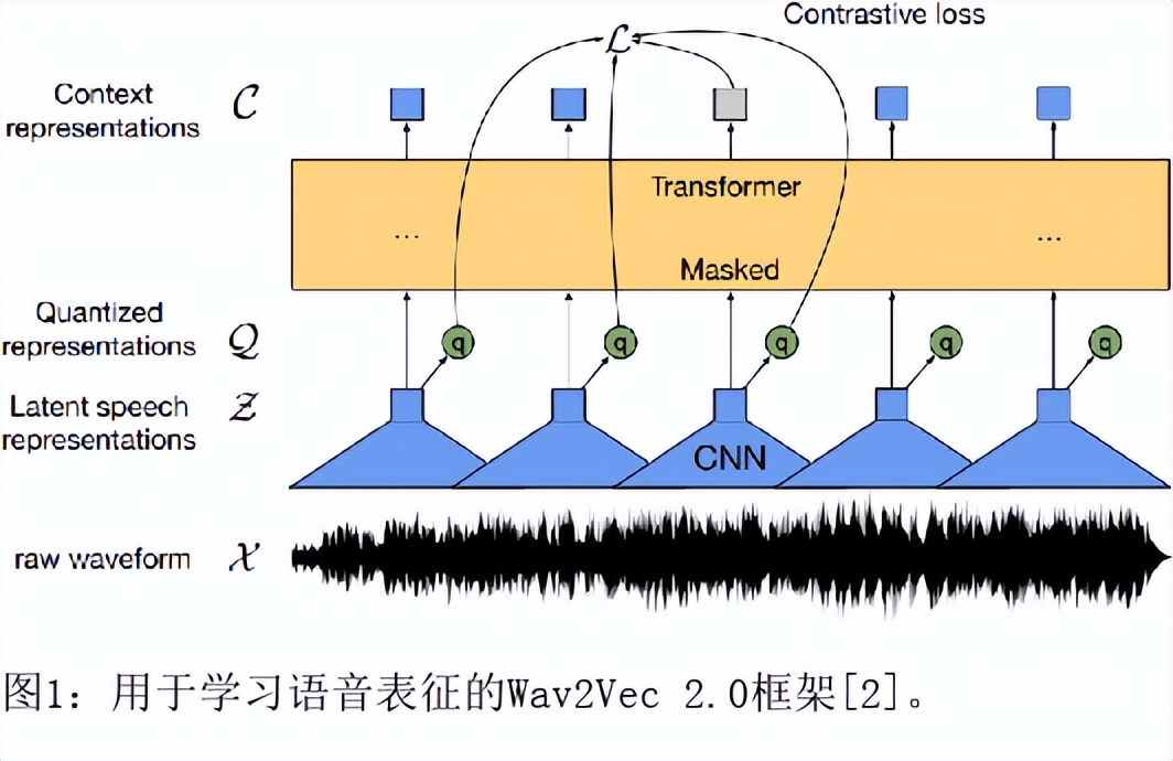 跨语言自我监督的语音表征,改善障碍性语音识别能力