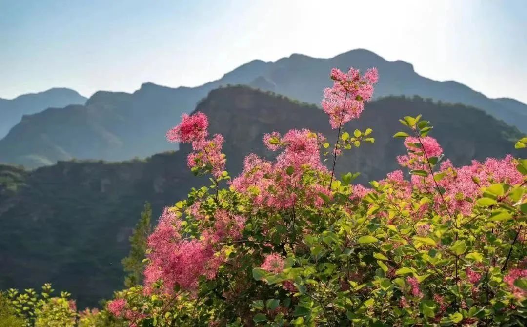 京郊五一好去处,五一冷门旅游胜地北京