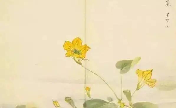 陈丽华：走进诗经里