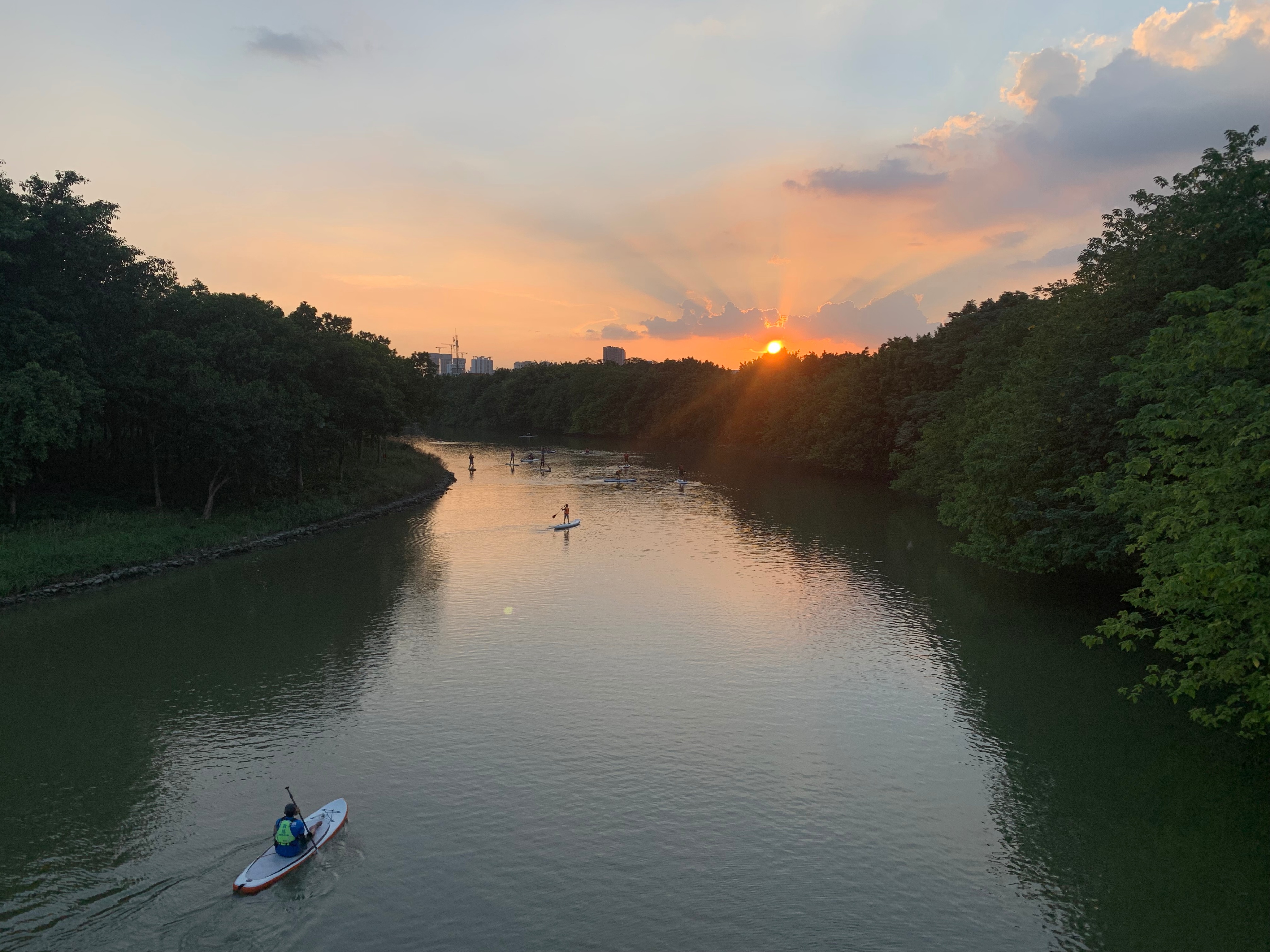 广州国庆假期一日游:南肾海珠湖国家湿地公园的最佳旅游攻略