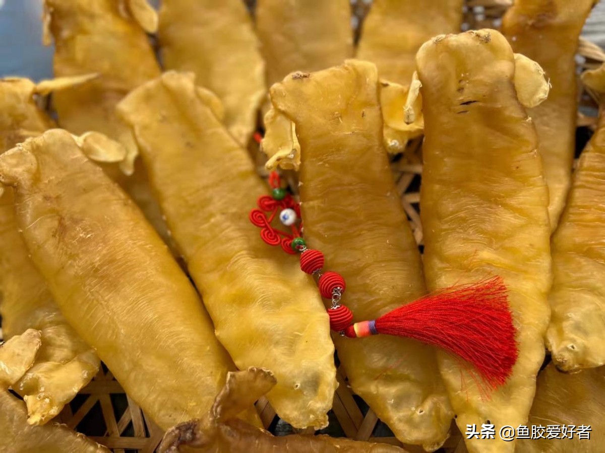 正宗即食鱼胶哪里有,鱼胶是哪个国家产的最好