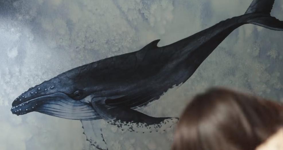 豆瓣评分9.3职场,豆瓣职场潜规则