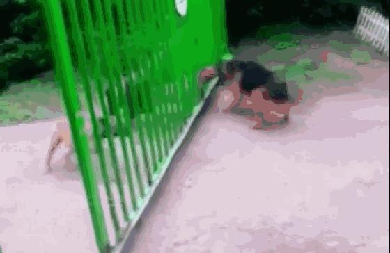 韩赵魏三家分晋的晋是什么时期,春秋战国时期的三家分晋