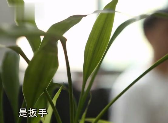 快递诈骗为啥不抓寄快递的,新型骗局快递包裹怎么举报