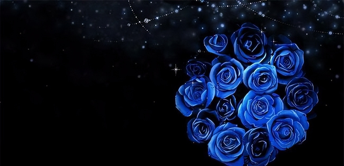 送朋友情人节花语大全,红色康乃馨情人节花语