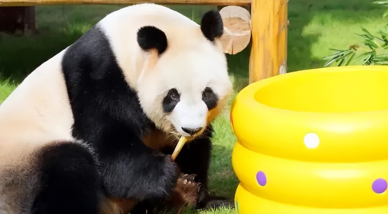 杭州周边秋冬适合去哪里旅游,五一出游杭州有哪些小众景点