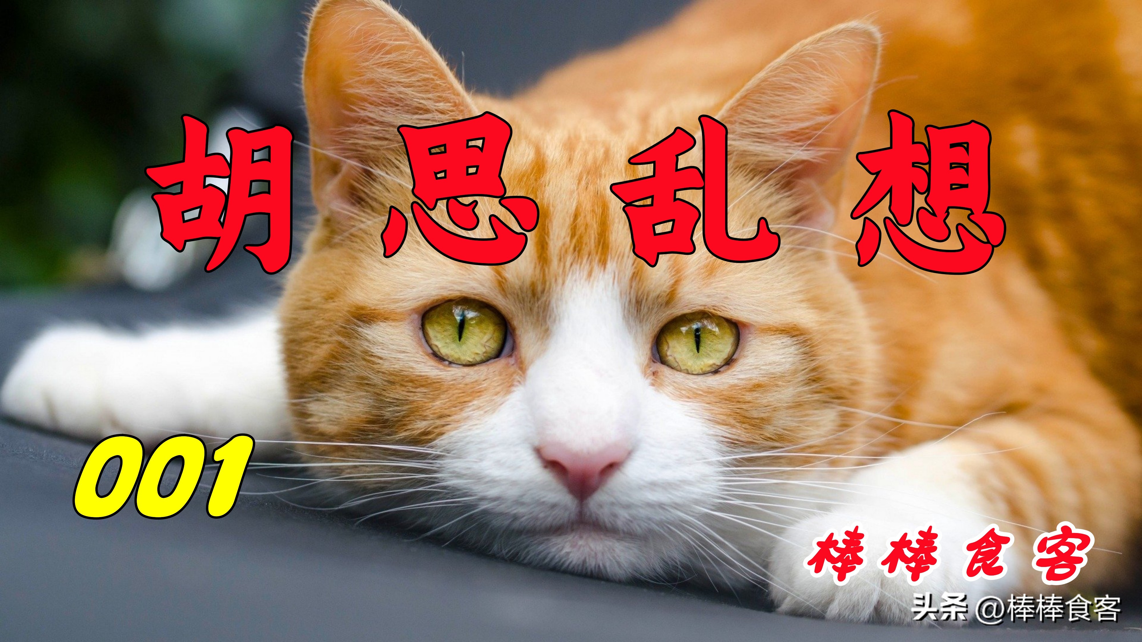 在朝鲜找女友,在朝鲜搭讪美女