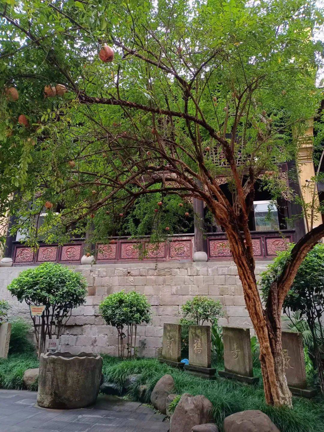 去重庆旅游喝什么酒,重庆喝酒一般玩什么