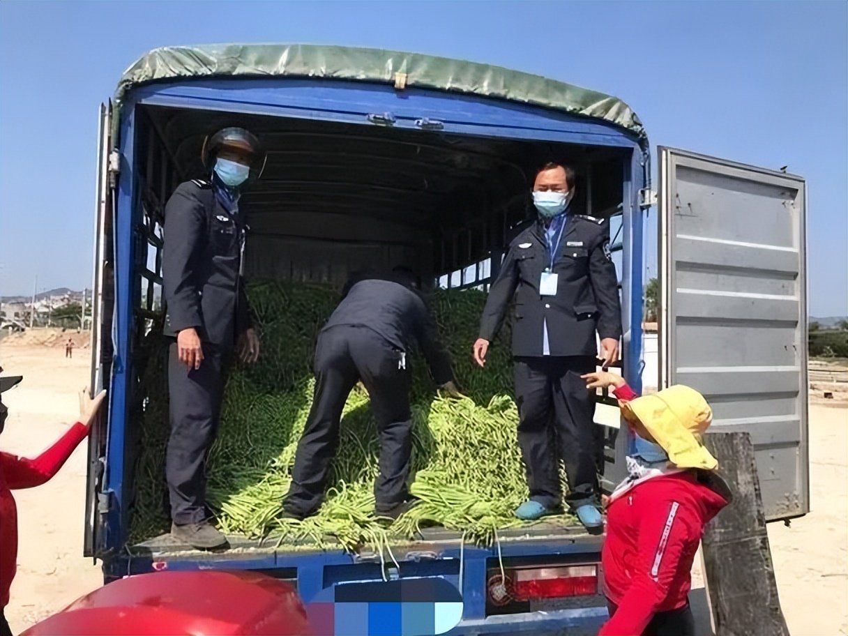 农业农村部新规不落实到地方吗,农业部对农村有哪些规定