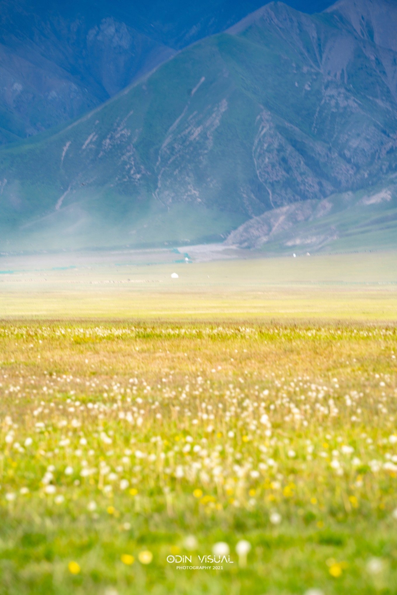 新疆伊犁之美,走了一圈才发现世界万物远不及你