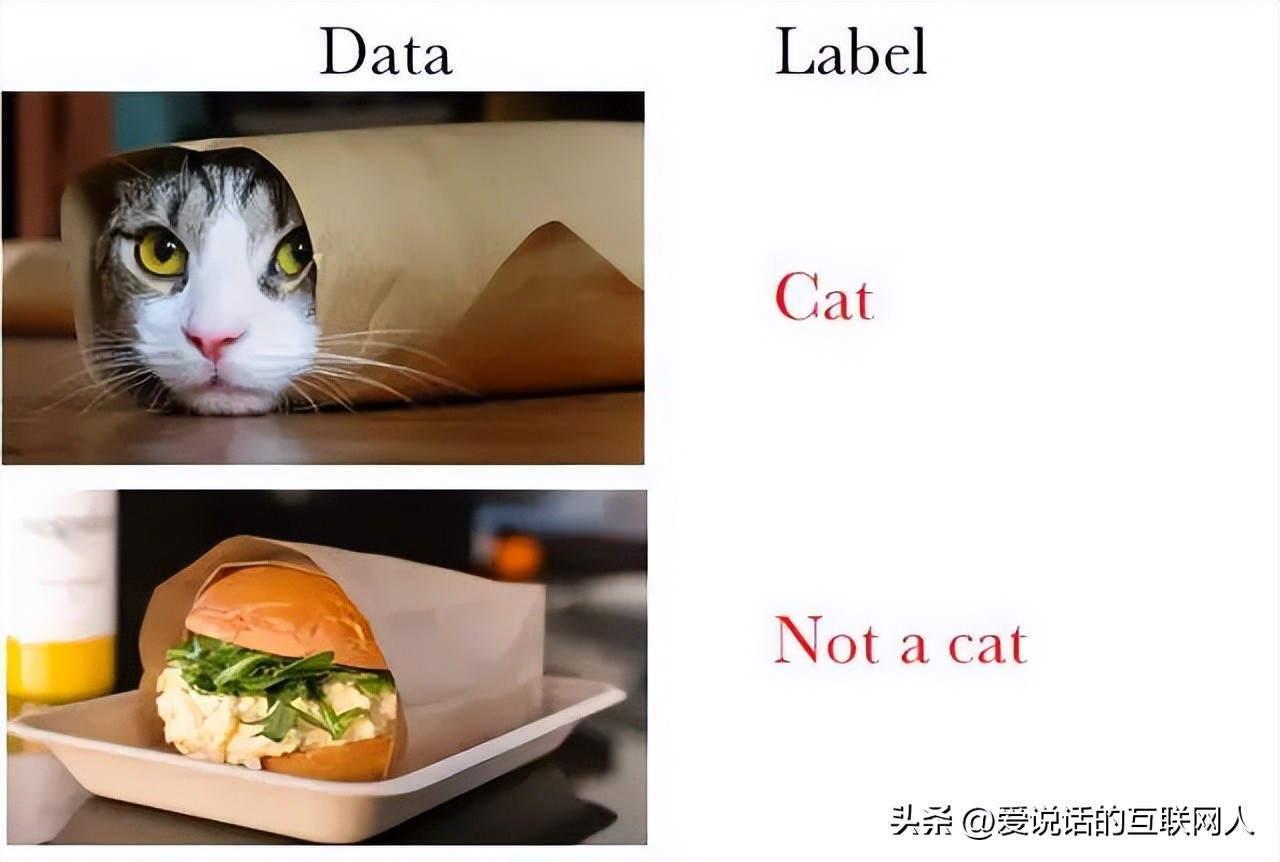 怎么根据一组数据研究出一个算法,如何让算法快速建立数学模型