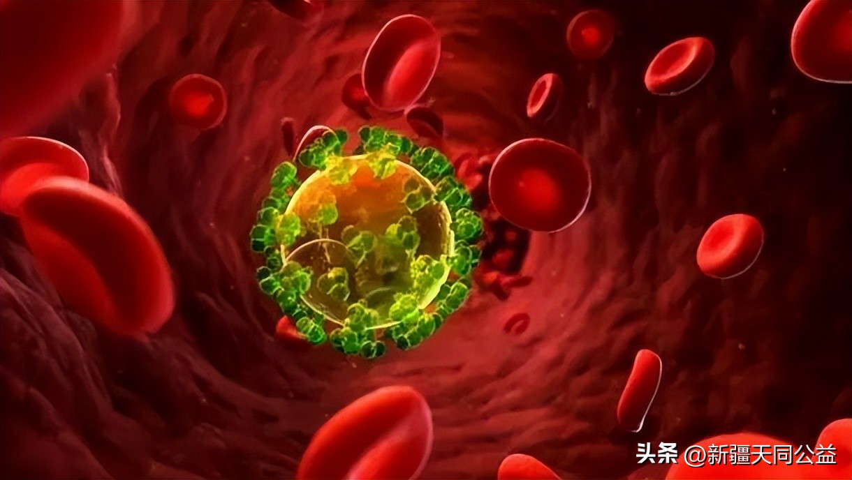 hiv感染者后早期发现能治疗吗,感染hiv病毒能治好吗