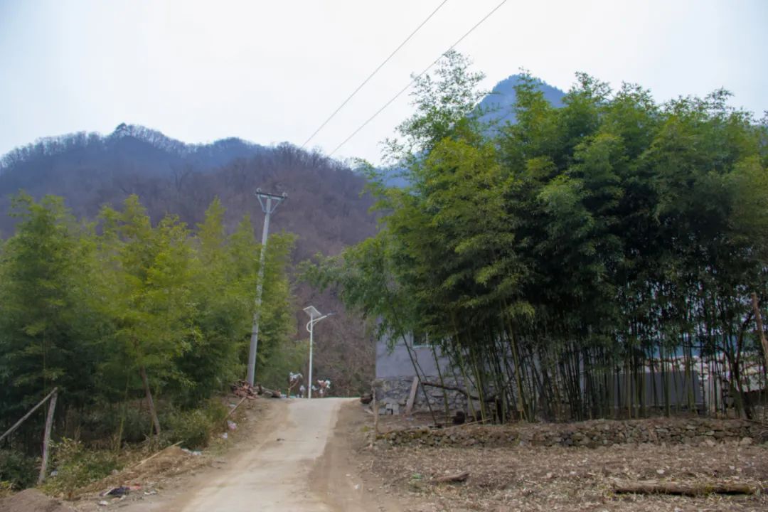 疫情让秦岭山村变得更加寂静，寻访秦岭坪沟，尽量不主动接触村民
