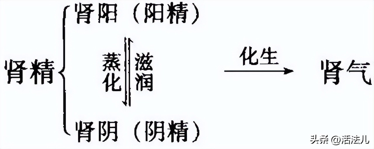 三伏养生注意哪些,三伏养生的三大秘诀