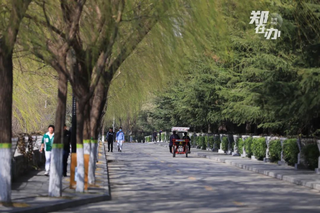 郑州哪个地方最适合春游,3月春游好去处郑州