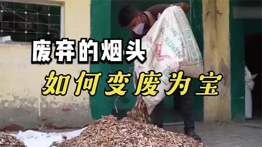 回收烟头靠谱吗,回收烟头的生意怎么样