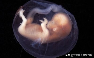 孕期受到刺激生出来的宝宝会怎样,孕期有夜生活对胎儿有影响不