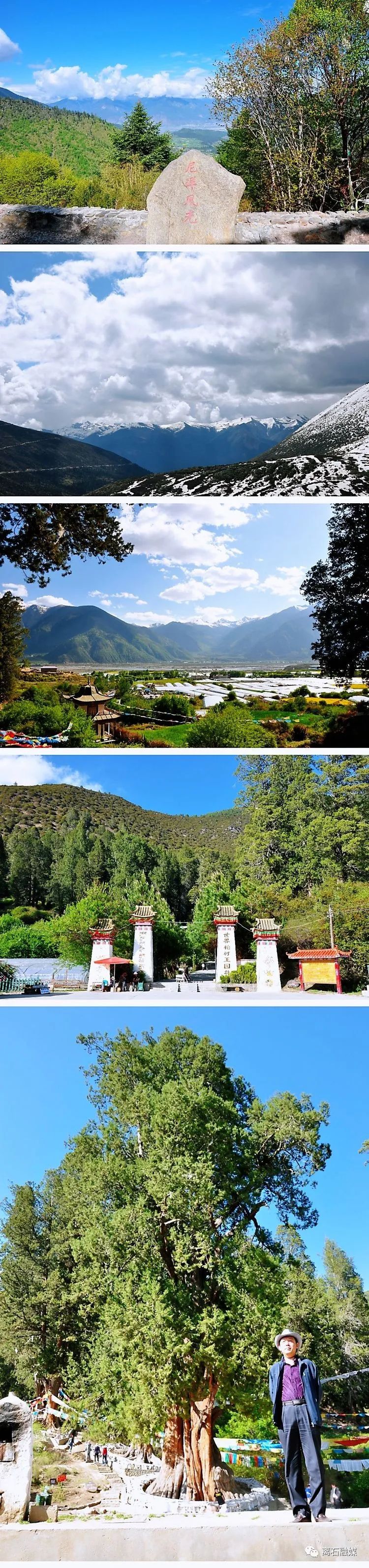 我们的旅行西藏之旅,我的西藏游记全部