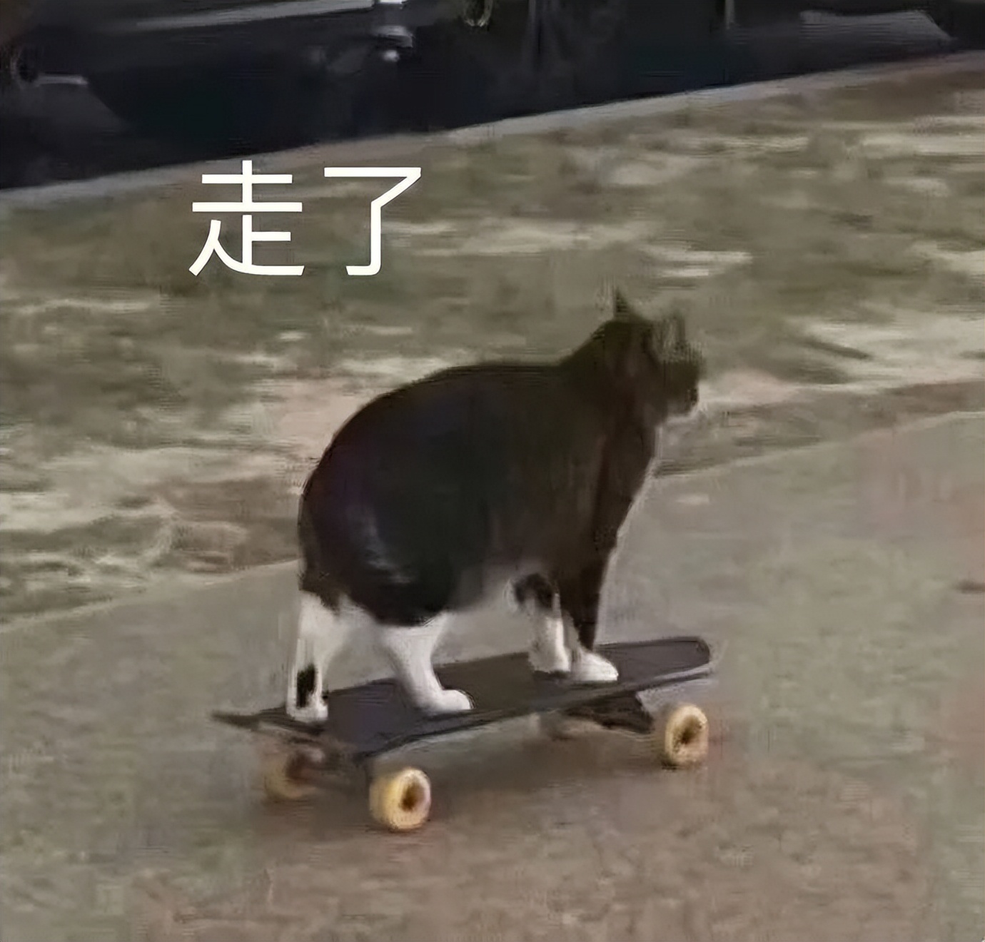 现在的诺基亚还能坚不可摧吗,诺基亚从什么时候开始衰落