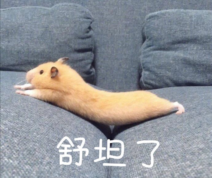 办公室污染的真实案例,吐血整理mbti