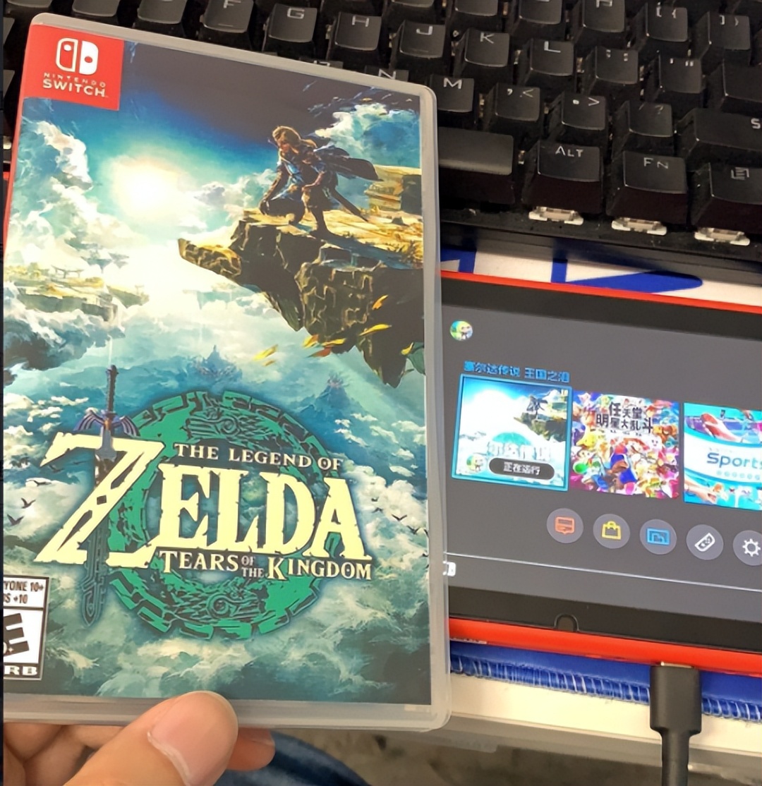 塞尔达偷跑,赛尔达偷跑