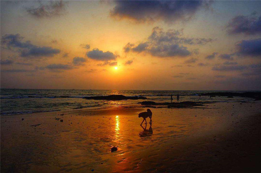 新中国订购德堡轮货船,罗马尼亚粗制滥造,30余位船员葬身印度洋