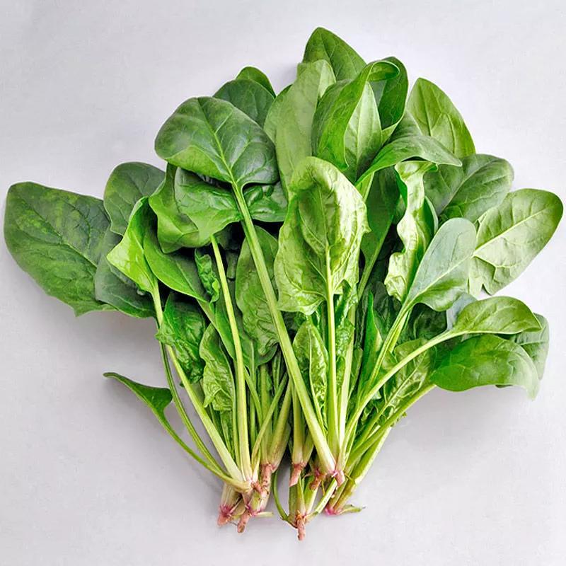 上班累吃什么营养品,上班很累吃点什么补一补