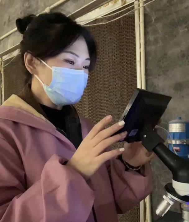 养兔子怎么干净卫生,养兔子的缺点和坏处