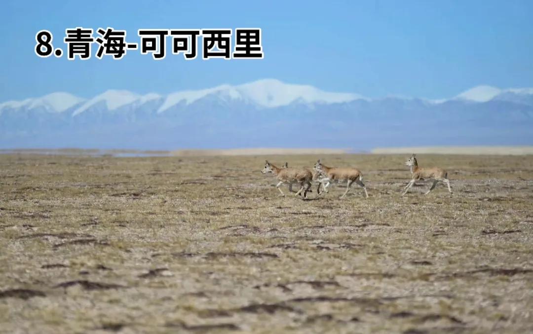 中国十大人间仙境头像,中国十大人间仙境西塘