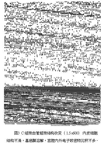 陈凡医生简历,陈凡医师