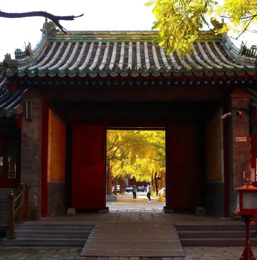 胡同逛游指南，在北京这4条胡同里邂逅别样秋色