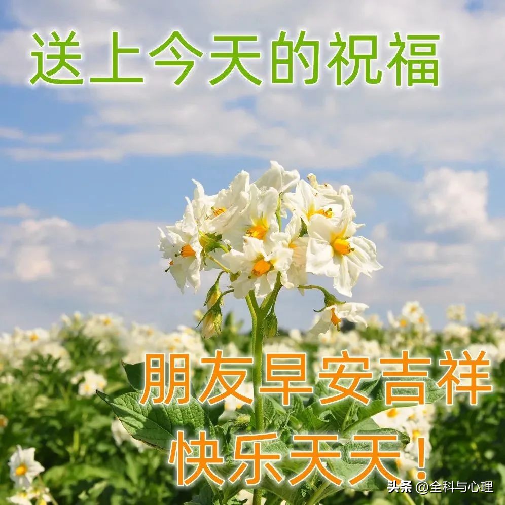 人字一撇一捺简单两笔却耐人寻味,人字一撇一捺容易写却不容易做