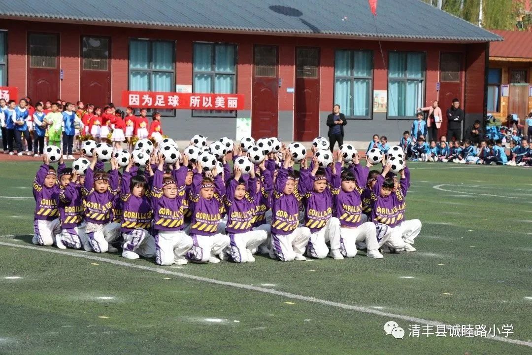 2023清丰县县长杯,2024年禄丰县青少年足球联赛