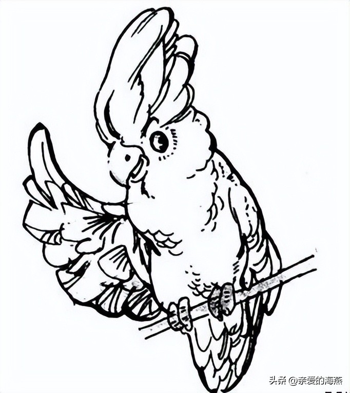 以前的英语课本和现在的英语课本,还记得你曾经学过的英语课本吗