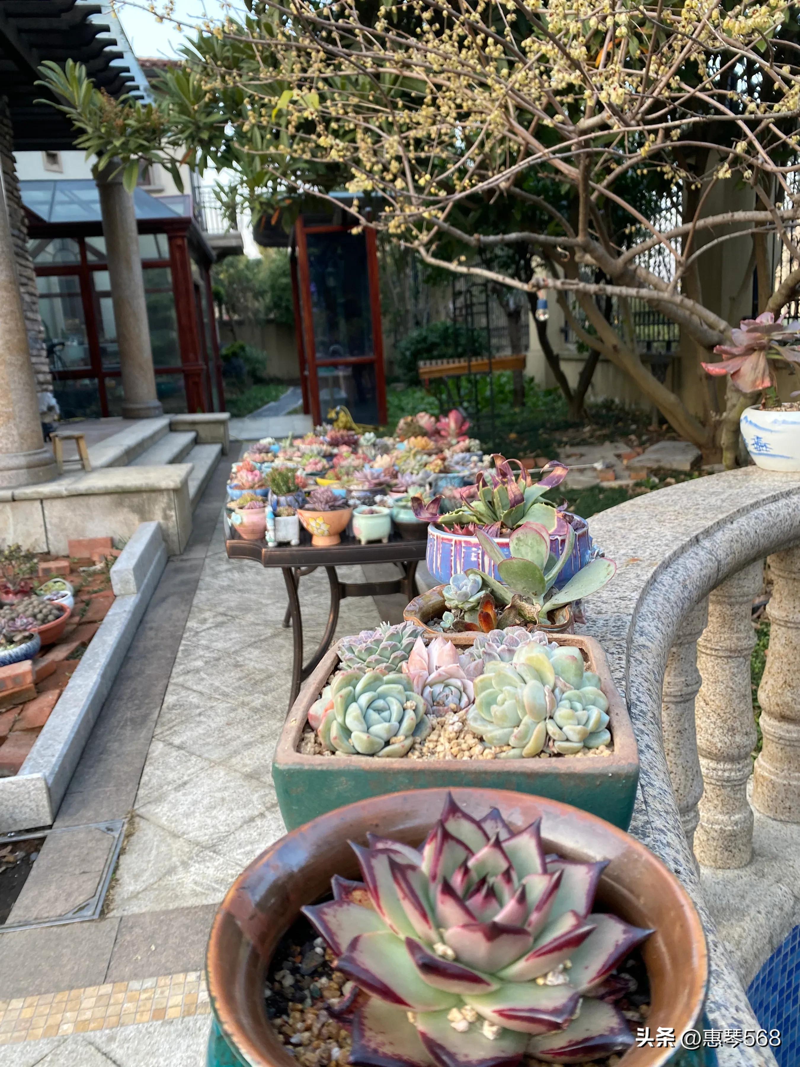 我的照片全部删了怎么找回来,我的照片图库在哪里