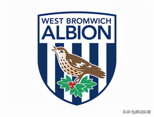 队徽是一只鹰的国家队,队徽是鸟的球队