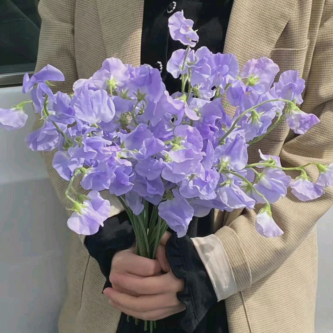 未婚先孕的正确做法,未婚先孕怎么办最好