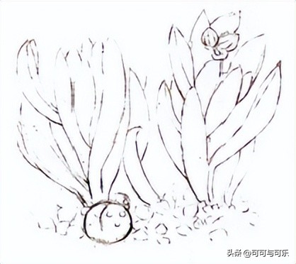 彩铅课7-9,彩铅第一节课画什么好