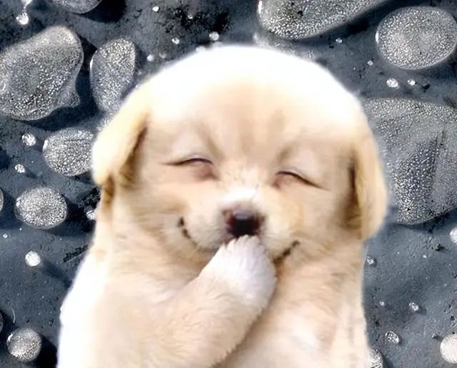 等待和陪伴是长情的告白,等待是为了更长情的陪伴与相守