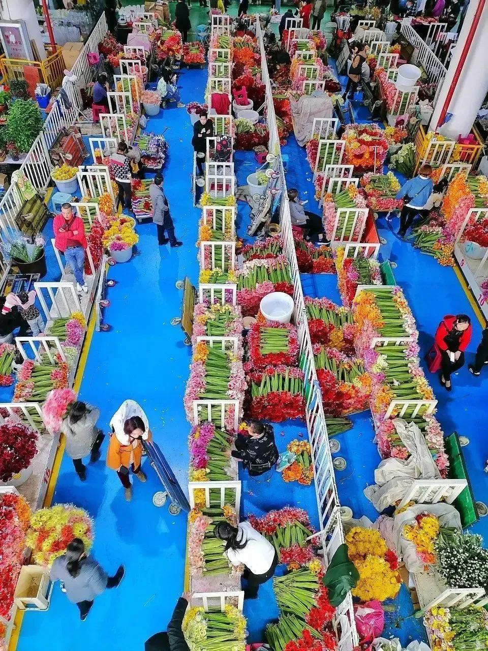 这个季节适合去昆明哪旅游,这个季节在昆明游最应该去的地方