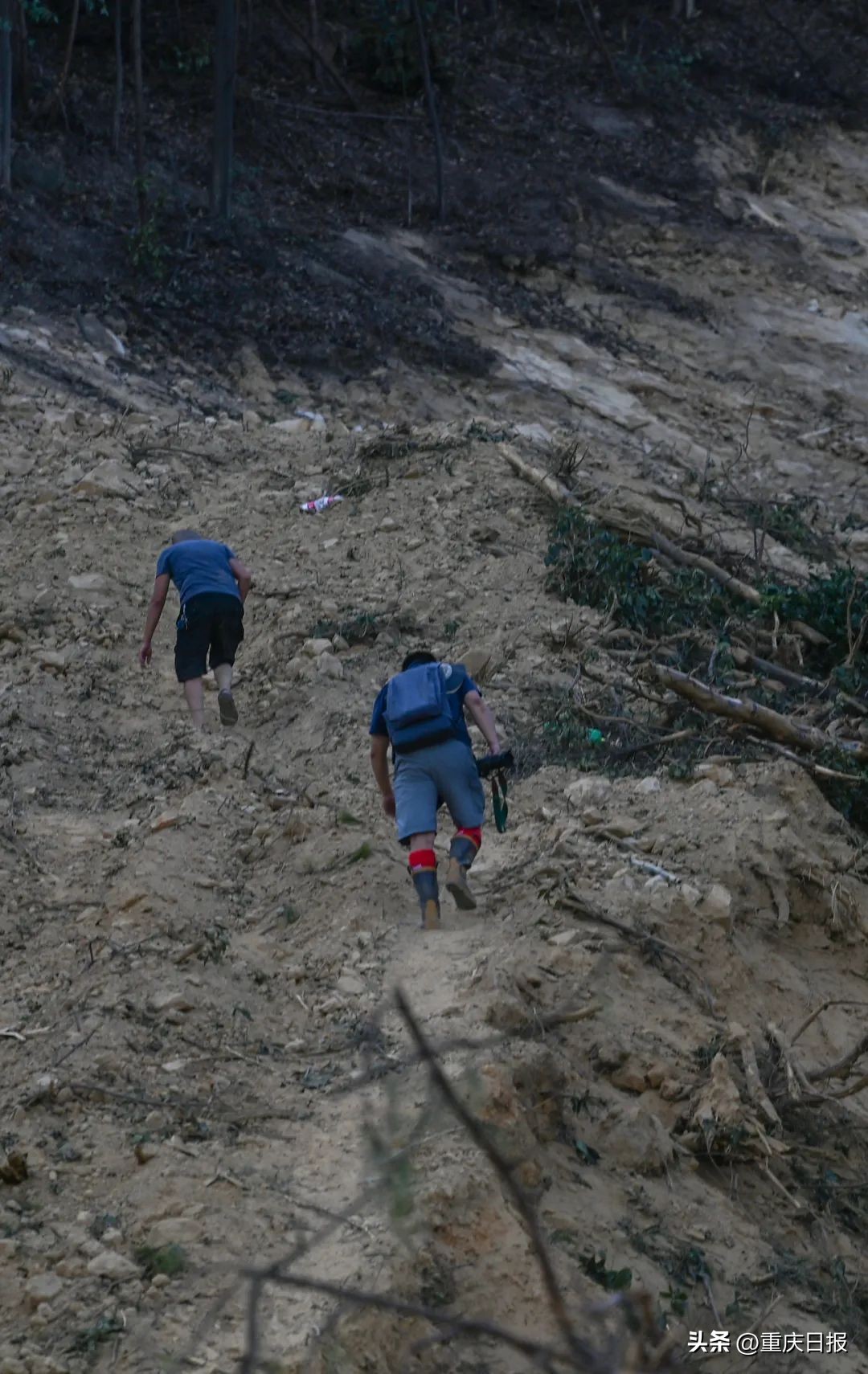 重庆日报采访城口,重庆日报摄影记者