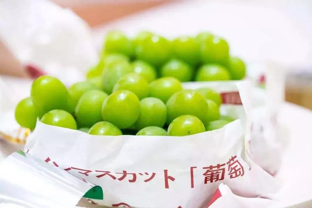 日本阳光玫瑰葡萄2000一斤,日本阳光玫瑰葡萄多少钱一斤