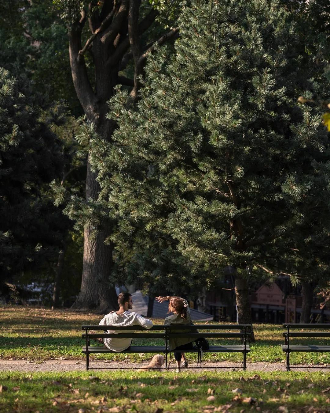 别晒幸福别晒甜蜜更别晒成功文案,别晒幸福别晒甜蜜更别晒成功
