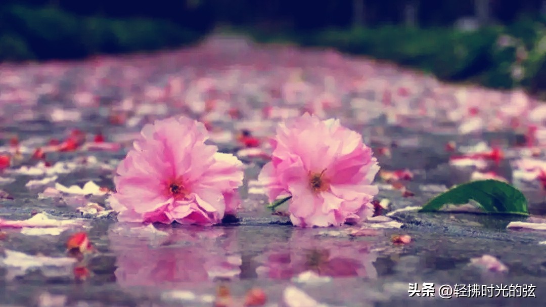 中国史上最美36首诗词,中国最美诗词十首