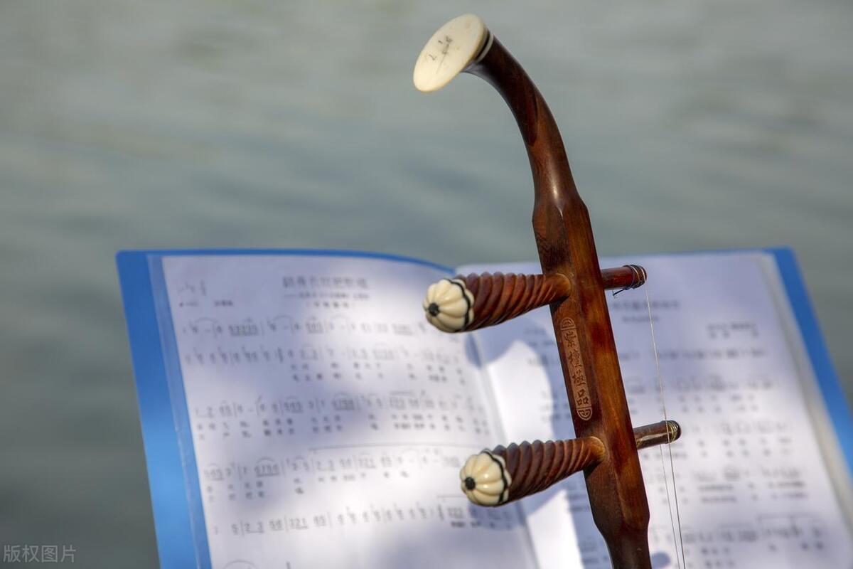 业内人士讲挑选二胡的方法,初学者二胡怎么选购