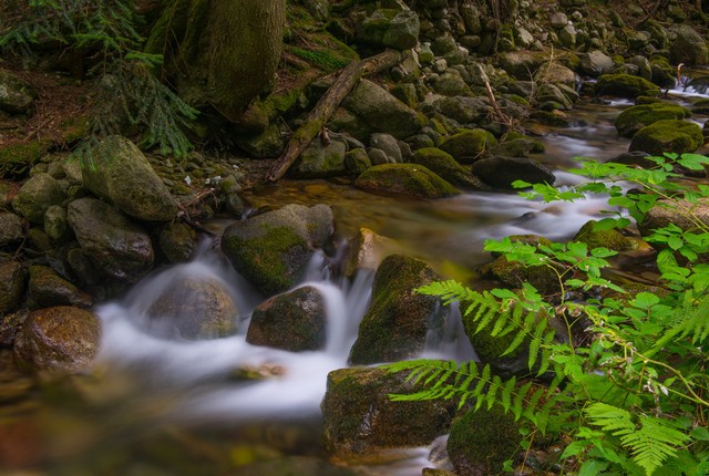 40岁我决定换一种活法,40岁最好的活法6个字