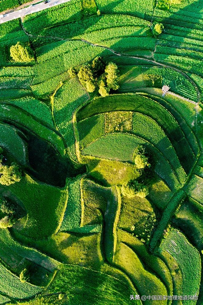 山西刀削面是全球著名美食吗,山西的特色美食是不是刀削面