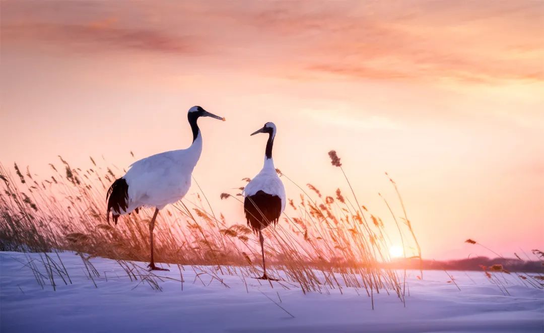 为了这三件事情，动情甚至献身，真的情商很低