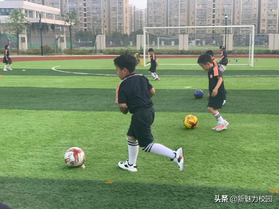 软件谷二小学区,软件谷二小怎么样