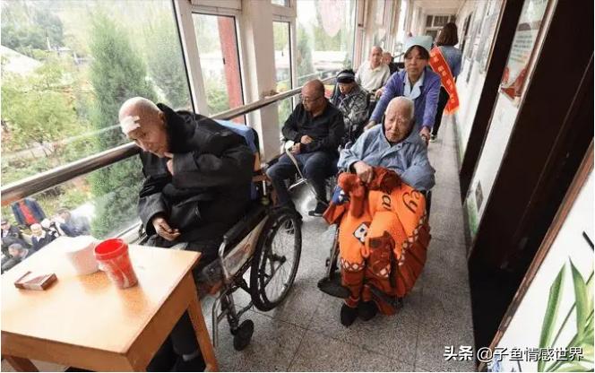 65岁长寿老人哭诉视频,65岁老人哭诉抱团养老一年